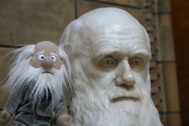 darwin statue and doll